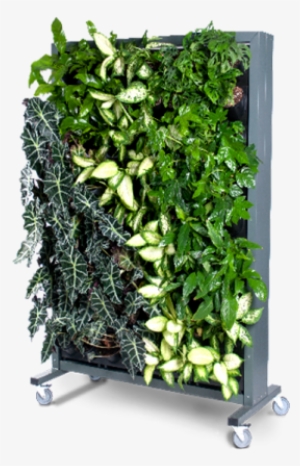 Mobile Green Walls - Ściana Roślinna