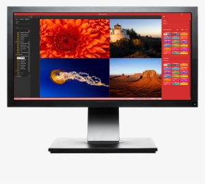 Wallcontrol 10 Software