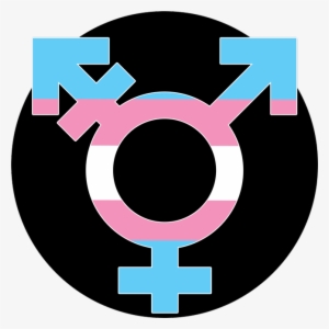 President Trump's Attack On Transgender Service Members - Transgender Logo