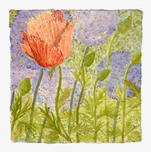 Watercolor - Oriental Poppy