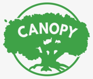 Canopy Png