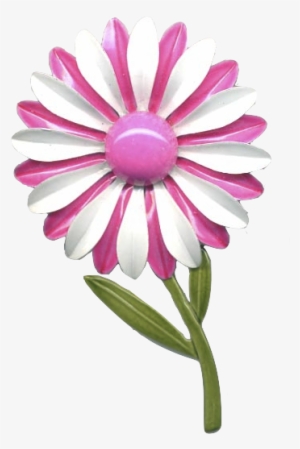 White Daisy Png - Paper
