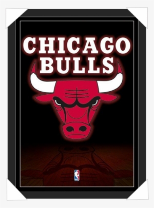 #425 - Chicago Bulls