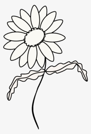 Drawn Daisy Black And White - Safavieh Wall Mirror Mir4017a Chrysanthemum Mirror