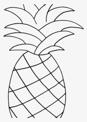 Pineapple Clipart Sketch - Una Piña Para Dibujar