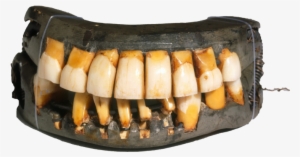 See Washington's False Teeth In The Collection At Mount - George Washington Teeth