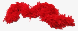 Vector Library Boas Balaji Exports Exporter In Faridabad - Transparent Red Feather Png