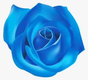 Png Roses - Blue