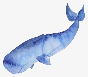 Blue Hand - Whales