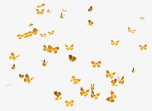 Download Png Clipart - Butterflies Png