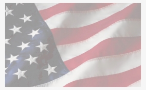 Transparent American Flag Png - Harambe Stands For The National Anthem