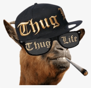 Share This Image - Goat Thug Life Png