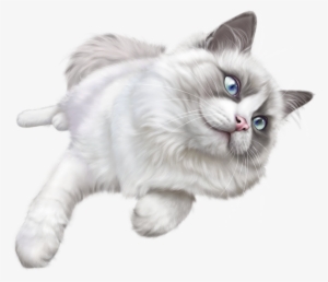 Cat Png Hd - White Cat Png