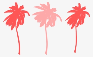 Palm Tree Png Colorful