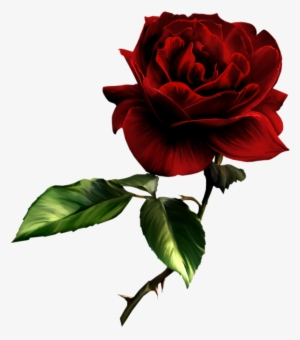 Beautiful Clipart Red Rose - Sympathy To A Dear Friend
