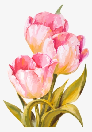 Tubes Fleurs Pinterest Flowers - Watercolor Tulips Transparent