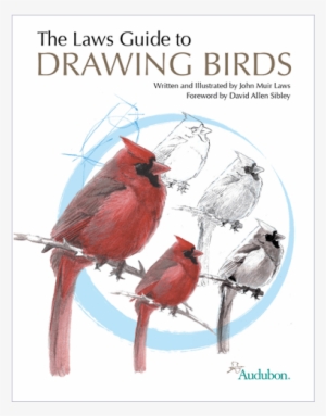 The Laws Guide To Drawing Birds - Laws Guide To Drawing Birds