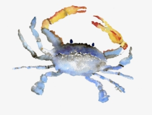 Cornelius The Crab Watercolor - Watercolor Crab Transparent Background