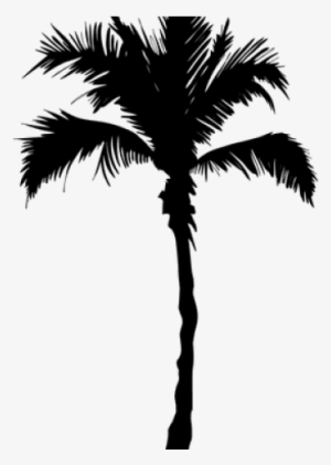 Palm Tree Png Transparent Images - Respiro Janeiro