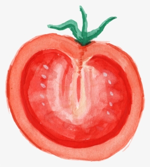 Watercolor Vegetables Png Png Stock - Plum Tomato