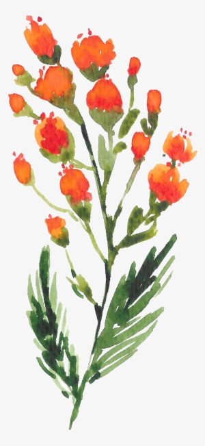 Hand Painted Orange Deep Mountain Wildflowers Watercolor - Watercolor Painting