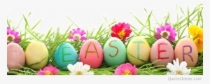 Easter Grass Eggs Png High Quality Image - Easter Eggs In Grass Png