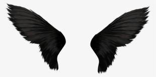 Free Png Black Wings Png Images Transparent - Black Angel Wings Png