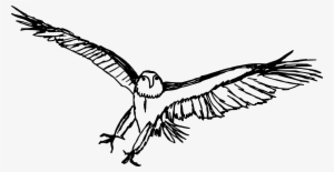 Free Download - Eagle Drawing Png
