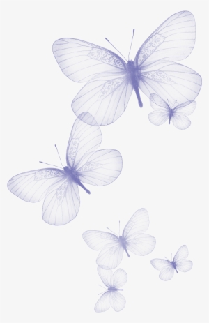 Transparent Butterfly Png Clipart Picture - Butterflies Png