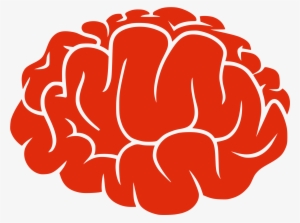Cartoon Brain Png Image Free Download - Transparent Background Brain Clipart