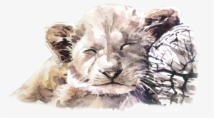 Watercolor Paint