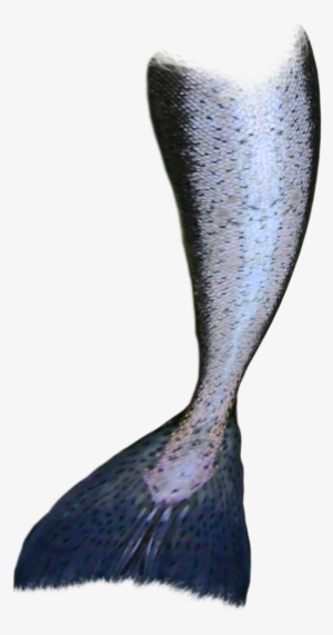 Mermaid Tail - Transparent Mermaid Tail Png