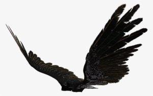 Dark Angel Wings Png - Black Angel Wings Side View