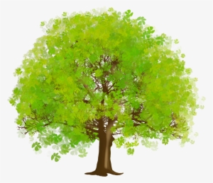 Large Green Tree Png Clipart - Tree Clipart