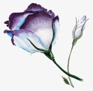 Purplish Blue Flower Watercolor Transparent Flower - Folder Watercolor Transparent Background
