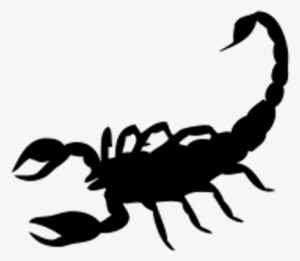 Black Scorpion Tattoo - Scorpion Tattoo Png Transparent PNG - 400x400 -  Free Download on NicePNG