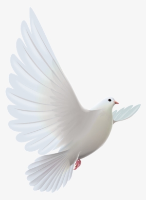 Gods Doves Png - Flying Dove Hd Png