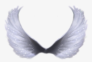 Full Hd Wings Png By Me - Transparent Angel Wings Png