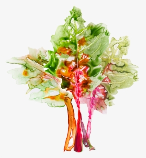 Design & Creative Direction - Watercolor Veggies