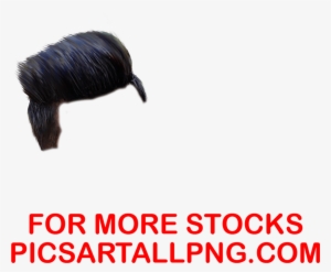 Picsart Hair PNG & Download Transparent Picsart Hair PNG Images for Free -  NicePNG