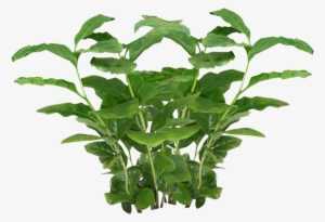 Plants Png - Cole & Grey 3-piece Iron Pot Planter Set