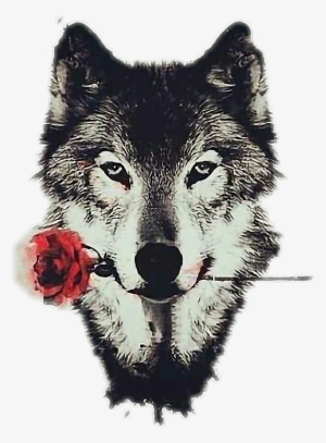 Wolf Png Tumblr - Gray Wolf Greeting Card