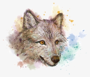 Gray Wolf Painting Red Fox Drawing Hand - 水彩 狼 素材
