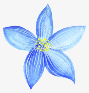 Image Free Stock Drawing On Watercolor - Flower Watercolor Pencil Drawings