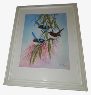 Blue Wren Paintings - Superb Fairywren