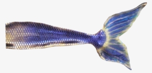 Mermaid Tail Transparent Image Fantasy Graphic - Flying Fish