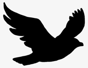 Flying Bird Png - Black Bird Flying Silhouette