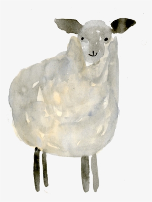My Process Included Sketching The Illustration Out - Sheep