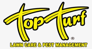Top Turf Logo - Aircraft