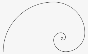 Fibonacci Vector Spiral - Circle